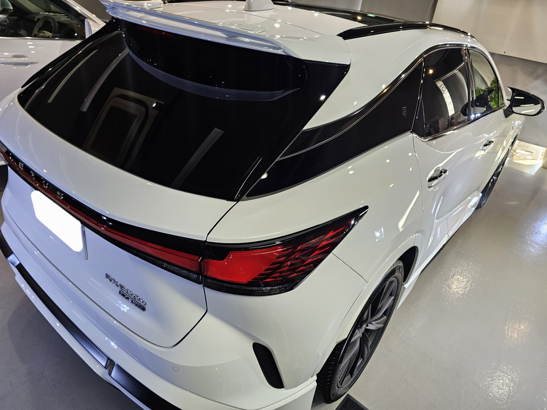 LEXUS RX500 FEYNLABヒールプラスセラミックボディコーティング